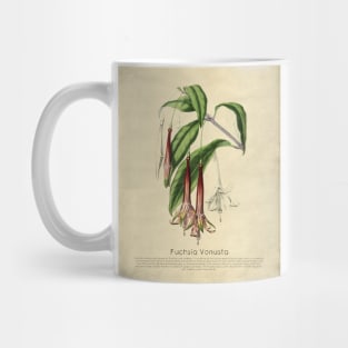 Fuchsia Vonusta With Details Mug